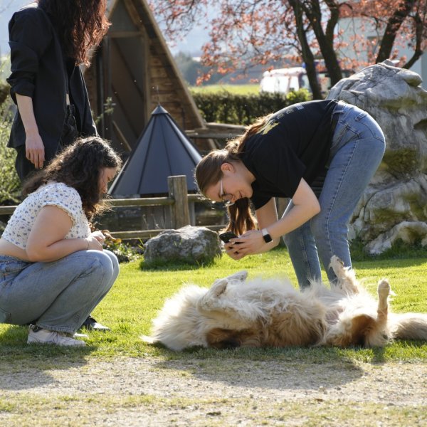 Klišejev 28. rojstni dan, fotografija 45