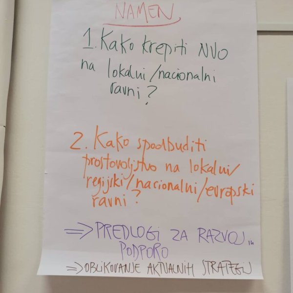 Posvet na temo razvoja nevladnih organizacij in prostovoljstva, fotografija 4