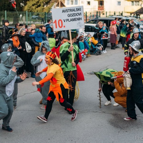 Avstralski gozdovi v plamenih, fotografija 3